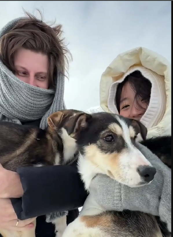 Screenshot 2026-04-27 125108 3